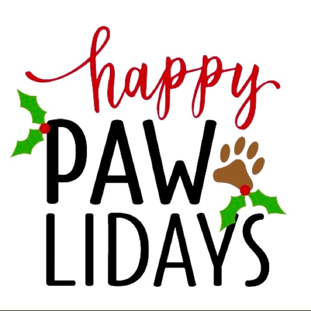 HAPPY “PAW”LIDAYS!! 🐶🎄🎁